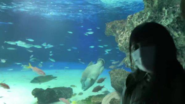 0002344_Japanese_Censored_MGS_19min - upornia.com - Japan on systemporn.com