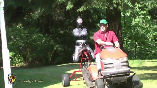 Hogfcsaddle Lg - upornia.com on systemporn.com