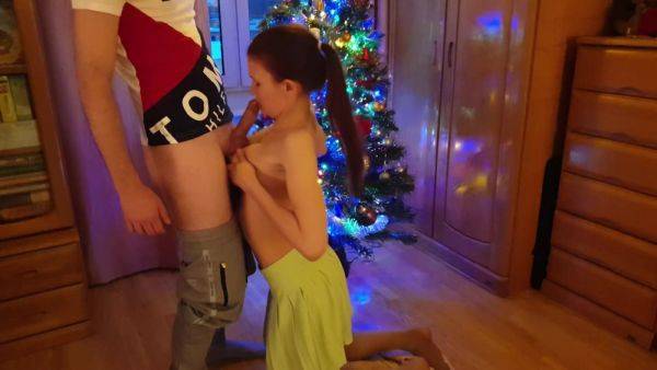Holiday Blowjob Under The Christmas Tree - hclips.com on systemporn.com