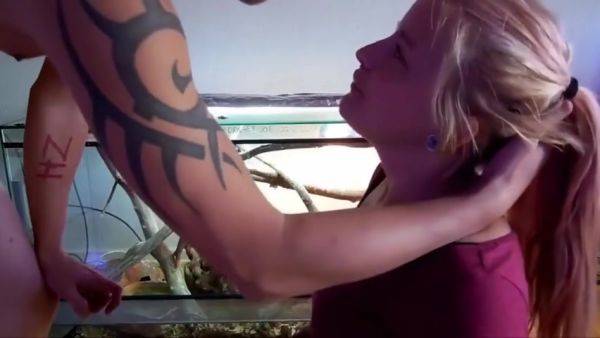 Perfect Girl - videomanysex.com on systemporn.com