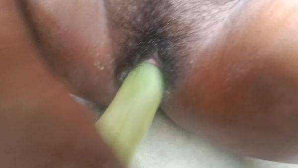 Whole Cucumber In My Dark Pussy . Taking A Huge Cucumber In My Pussy . Fucking With Cucumber . Painful Sex Video - desi-porntube.com - India on systemporn.com