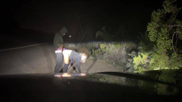 Rough Public Sex! Pounding Her Pussy On The Side Of The Road 5 Min - Ryland Ryker And Mya Lane - hclips.com on systemporn.com