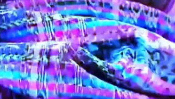 Delicious Latina with anal action. - veryfreeporn.com - Guatemala on systemporn.com