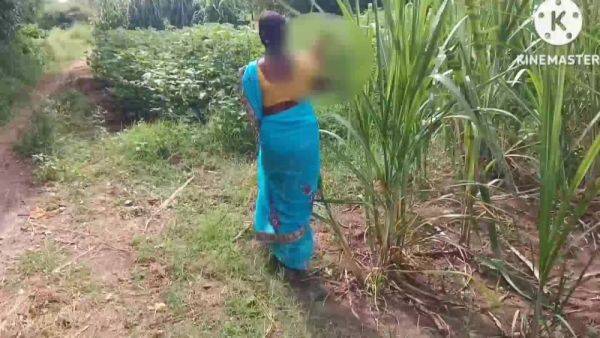 Virtual Reality In Indian Girls And Desi Lover Made A Fuck Sex Hinde Audio - desi-porntube.com - India on systemporn.com