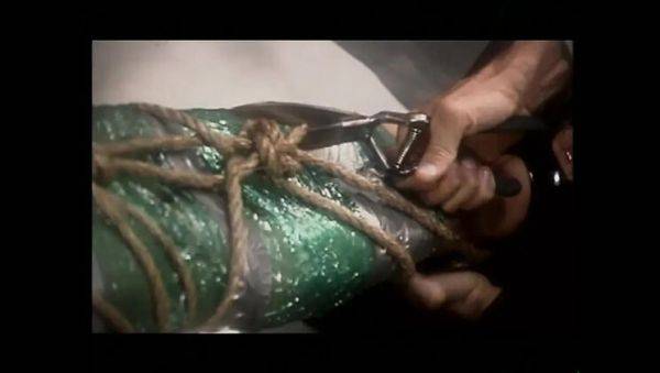 Evan Stone and Kylie Ireland in Vintage Art of Blowjob and Anal HD Video - veryfreeporn.com - Ireland on systemporn.com