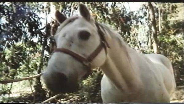 Desiree Cousteau Golden Age MILF Big Tits Hardcore Cumshot Orgasm HD - porntry.com - Britain on systemporn.com