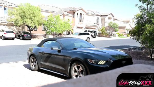 Sofie Marie Cheating Wife Teased and Takes BBC from Solo The Bull - xxxfiles.com - Britain on systemporn.com