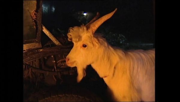 Naked Woman On Fire Vol.4 Full Movie - Claudia Jamsson, Karli Sweet, Backey Jakic Anal, Big Tits, Blowjob, HD Vintage - xxxfiles.com on systemporn.com