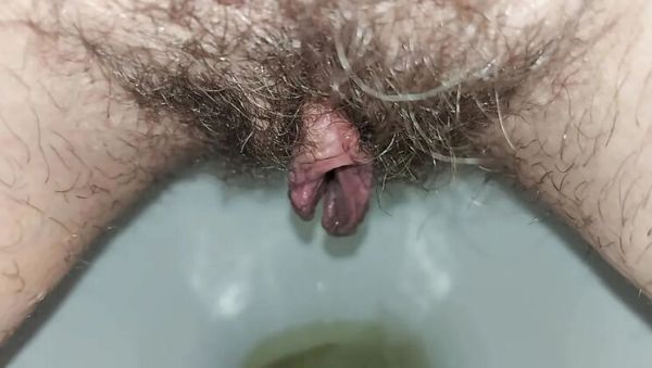 Hairy Housewife GinnaGg Pissing Close Up Toilet Pee Play - veryfreeporn.com - Russia on systemporn.com
