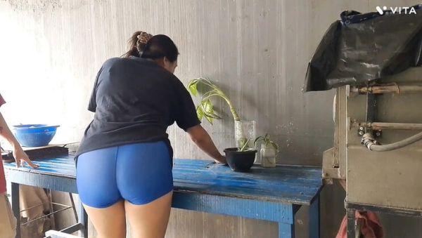 Homemade Latina Maid Blowjob and Creampie - Cheating Housewife Fuck in POV - xxxfiles.com - Spain - Bolivia on systemporn.com