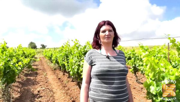 Leila the Hot Brunette MILF Gets Banged Hard in a Steamy Threesome Casting - veryfreeporn.com on systemporn.com