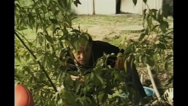 Skylar Paige Big Tits Mature Blowjob Love Dance with Big Cock Partner - xxxfiles.com - Britain on systemporn.com