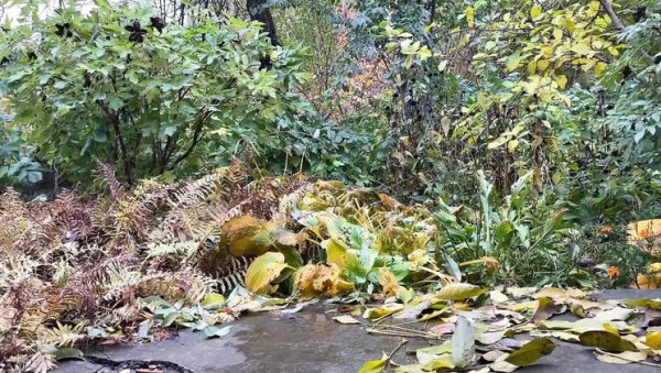 Mature Ukrainian MILF Pissing Doggystyle Outdoor - Hot Amateur Public Pee - porntry.com - Ukraine on systemporn.com