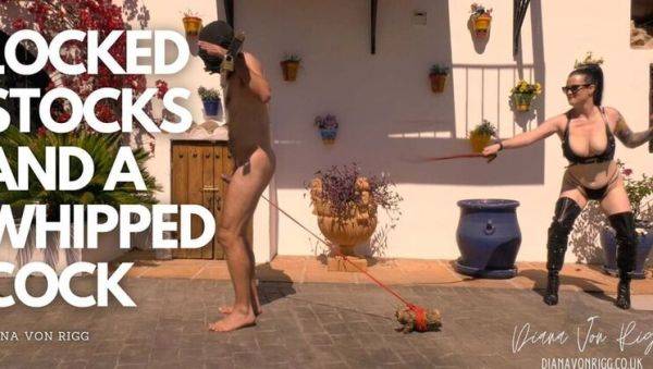 Mistress Diana Von Rigg Whips Slave's Cock & Balls in Outdoor BDSM Punishment - xxxfiles.com on systemporn.com