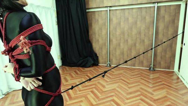 Japanese MILF in Twin Tails Tied Up & Dominated - Rough BDSM Shibari Fuck - xxxfiles.com - Japan on systemporn.com