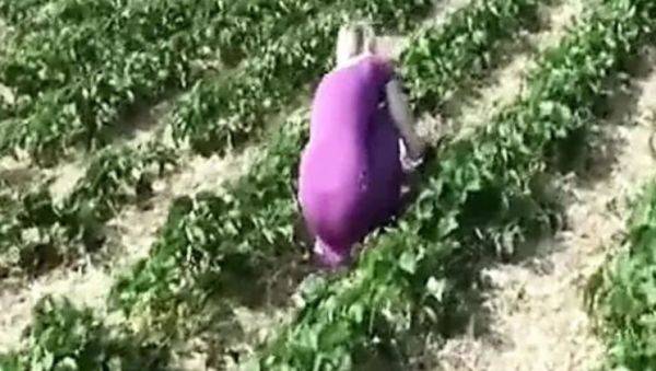 Blonde German Babe Sucks Cock After Strawberry Picking - Outdoor POV Fuck - xxxfiles.com - Germany on systemporn.com