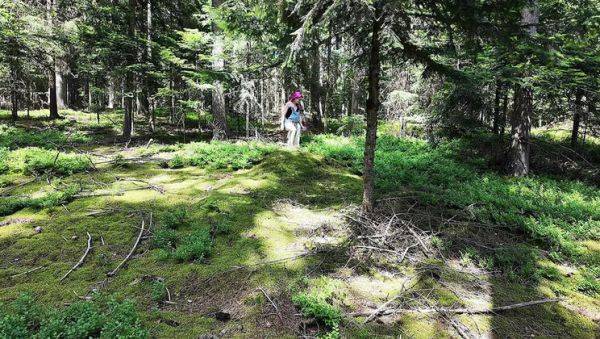 Wild French lesbians make out & eat pussy in the forest - Alt girls outdoor sex - porntry.com - France on systemporn.com