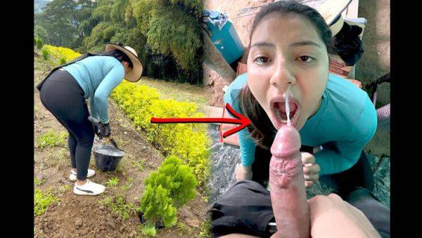 Young Farmer Woman Paid To Milk My Cock - Amateur Blowjob & Cumshot In Mouth - porntry.com - India - Colombia on systemporn.com