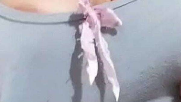 Kaith Saumeth Latina Solo - Huge Hairy Pussy Creams Thick Milk - xxxfiles.com on systemporn.com