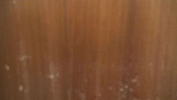 Souzan Halabi First Time Blowjob in Kitchen - Amateur Arab Teen Hijab Girl Dirty Talk Close Up 4K - xxxfiles.com - Britain - Turkey on systemporn.com