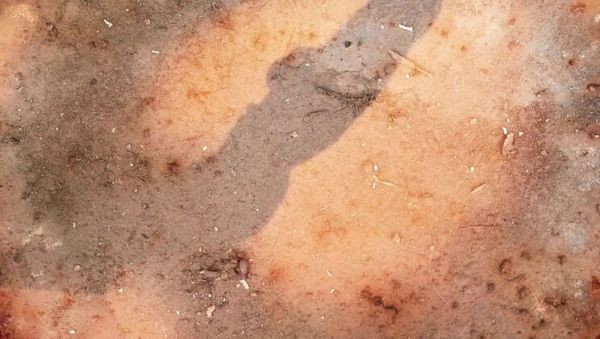 Wild Orgy with Magnificent Babes Lucy Belle & Rubi Diamond - Anal Gangbang DP - porntry.com on systemporn.com