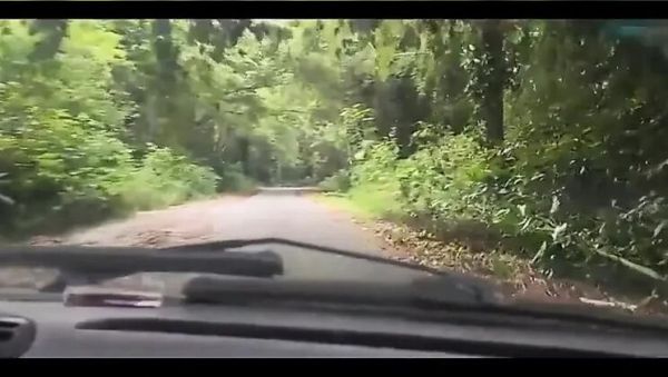 Bruxo Fire Bangs Latina in Forest Milk Bath - Outdoor Doggy Style & Blowjob - xxxfiles.com on systemporn.com