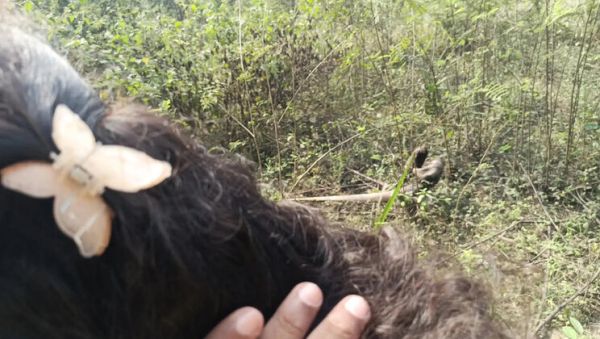 Step Brother Fucks Hot Indian Maid Laxi Ammu in Jungle Fantasy 4K - veryfreeporn.com - India on systemporn.com