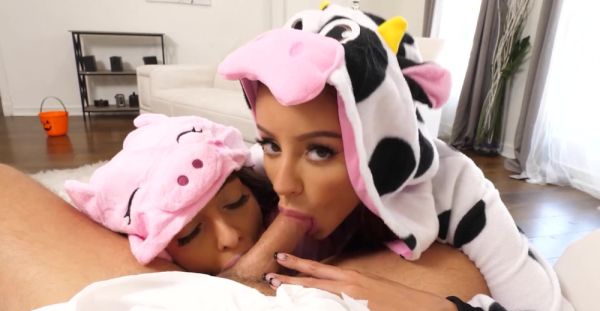 Asian temptresses tease with sloppy blowjobs and raunchy handjobs - alphaporno.com on systemporn.com