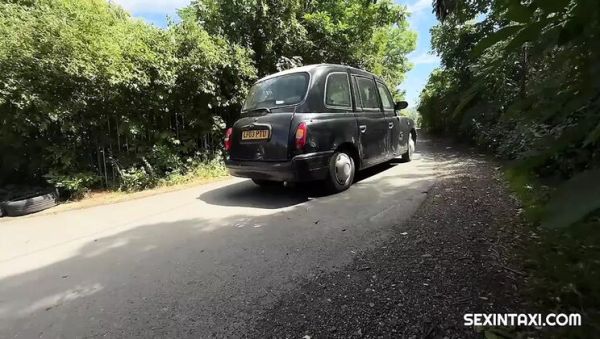 Brunette Becky California Addicted To Sex With Steve Q In Hardcore Taxi Fuck - porntry.com - Britain - Czech Republic on systemporn.com