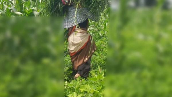 Desi Bhabhi Outdoor Fuck with Devar in Jungle - Sukunmi & Dewaif Public Sex - veryfreeporn.com - India on systemporn.com