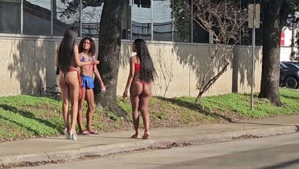 Petite Babe Rose Gives Blowjob & Doggystyle - Tight Pussy, Big Booty Riding - porntry.com on systemporn.com