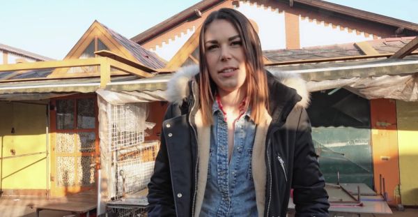 Czech casting girl Jessica Bell gets her trimmed pussy railed - alphaporno.com - Czech Republic on systemporn.com