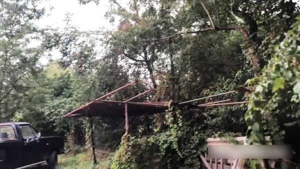 My Wife Luna Horny Outdoor Fuck with Gardener - Amateur Italian Couple Real Sex - veryfreeporn.com - Italy on systemporn.com