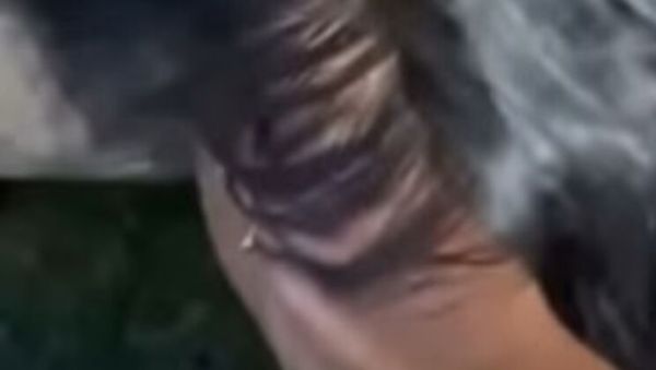 POV Blowjob with Keisha Minaj - Public Deep Throat on a Huge 11 Inch BBC - xxxfiles.com on systemporn.com