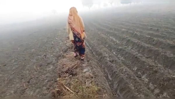 Desi Bhabhi Fucked Hard in Sugarcane Field – Hot Indian Village Sex - xxxfiles.com - India on systemporn.com