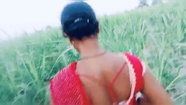 Hot Bhabhi Fucked in Village Field in Doggy Style - veryfreeporn.com - India on systemporn.com